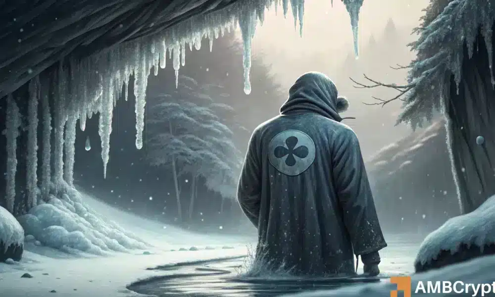 ¡XRP se fue en el frío cuando los comerciantes apostan en otro lugar! - Evaluar por qué ...