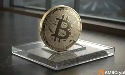 Las billeteras de bitcoin cambian al 'modo de compra': ¿es una inversión alcista inminente?