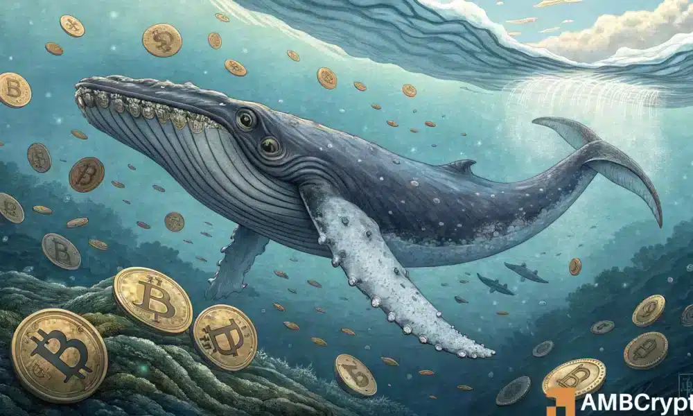 ¡Alerta de turno del mercado de Bitcoin! - Las ballenas se acumulan, los pequeños soportes salen: ¿Por qué?
