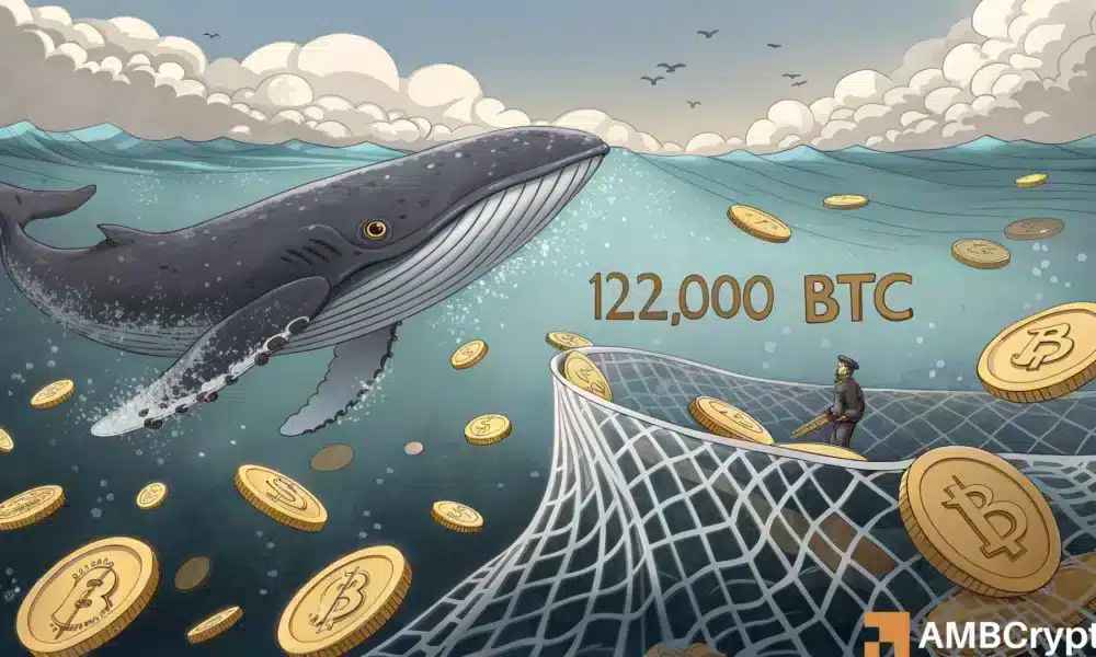 Las ballenas bitcoin compran 122k BTC en 6 semanas. ¿Qué conduce el aumento?