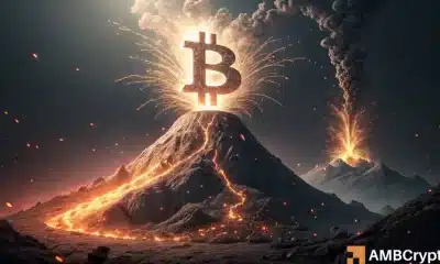 Mercado criptográfico en estado de shock! - Ballena mueve $ 170M Bitcoin: ¿Por qué y qué sigue?