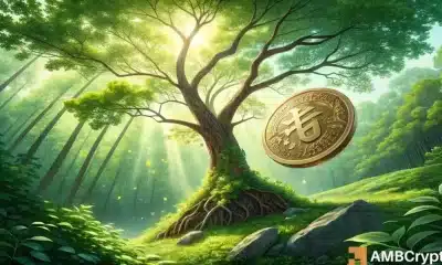Predicción de precios de sui: examinar por qué el altcoin podría caer a $ 3 a continuación