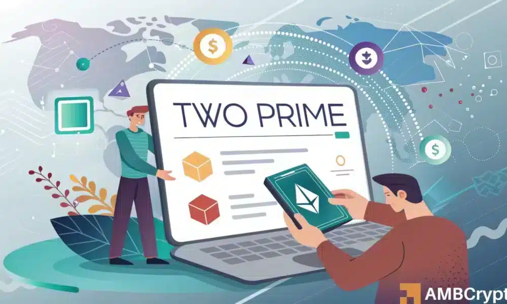 Dos desiertos principales de Ethereum, PERSONAS ROJAS Y PERFIL DE RIESSO DE PREGUNTAS 'MEMECOIN'