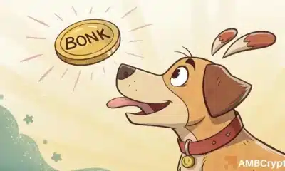 Bonk Eyes 'Golden Cross' después de 14 días de caída: ¿qué sigue para el precio?
