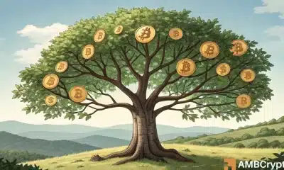 Bitcoin: Aquí están las pistas de lo que está más allá de BTC Ath; Primero, busca ...