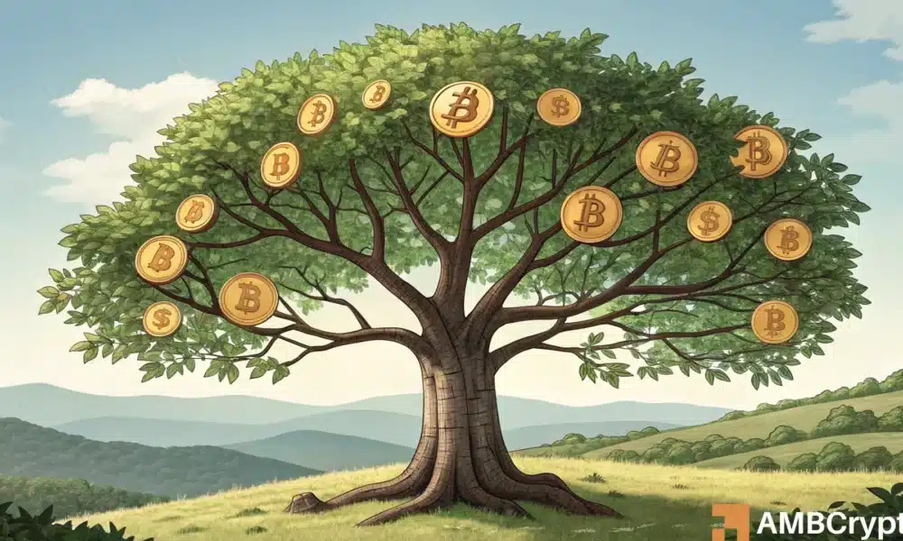 Bitcoin: Aquí están las pistas de lo que está más allá de BTC Ath; Primero, busca ...