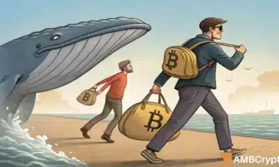 Las ballenas ayudan a Bitcoin Surge con 30k BTC Buy a medida que este grupo se retira
