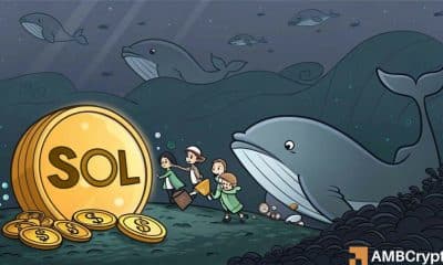 Las ballenas de Solana van todo, pero el precio cae: ¿Qué está pasando?