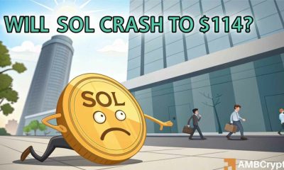 Solana se detiene a $ 135: evaluando las probabilidades de una salsa de sol al 20%