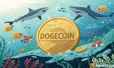 Dogecoin: esto es lo que está reservado para Memecoin después del último rebote de precios de Bitcoin