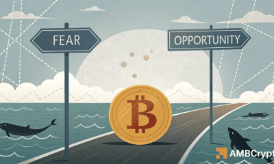 Comerciantes de bitcoin, olvida la mitad de la mitad; En cambio, ¡mira esto para el próximo movimiento de BTC!