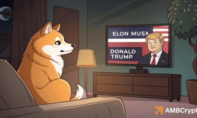 Dogecoin: Musk se disculpó, Dege reaccionó, ¡querrás ver esto!