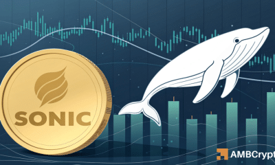 Las ballenas sonoras hacen su movimiento: ¡qué significan estas señales para las apuestas minoristas!