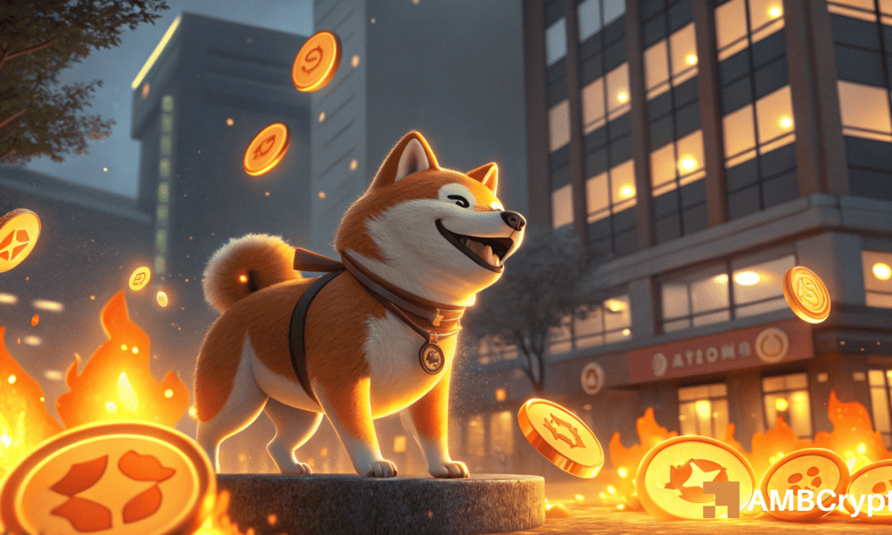 SHIBA INU: estos son los niveles clave de SHIB después del 103k% de pico en la tasa de quemaduras