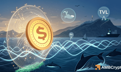 Sonic Dex Volume aumenta un 17%, pero esto señala probablemente la inversión de tendencias