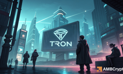 TRON - ¿Cuánto tiempo antes de que el precio de TRX siga el uso de la red de red?