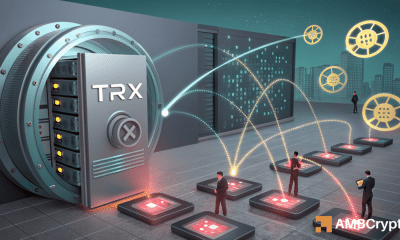 Tron - Minorista vs. ballenas: el próximo movimiento de TRX depende de esto ...