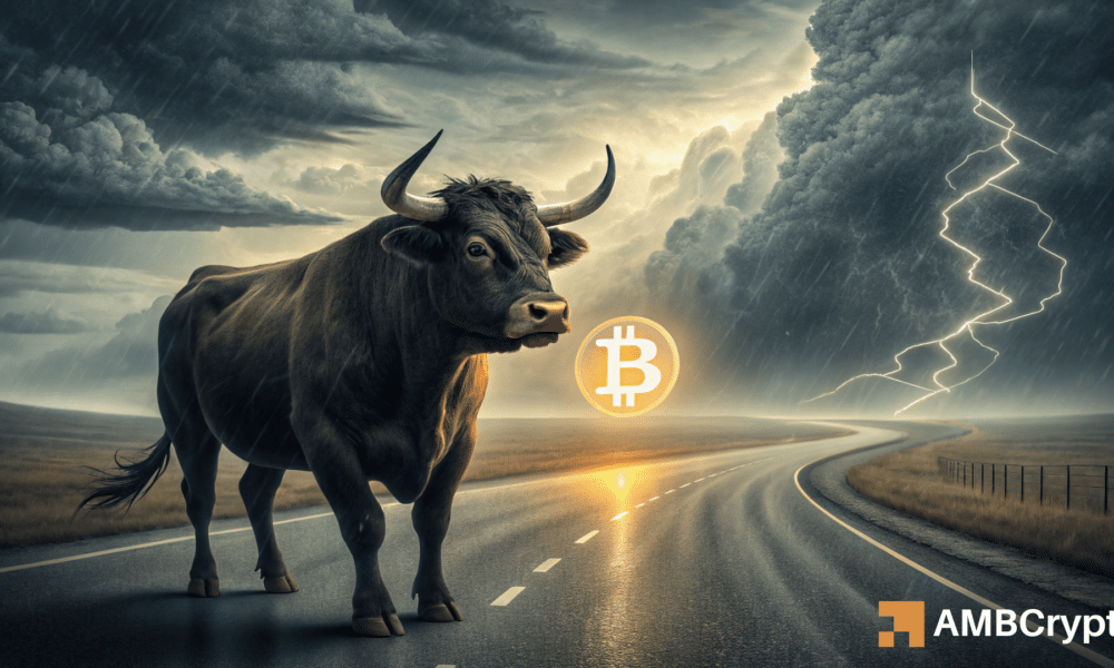 Bitcoin Metric Key Hits 1.1 A medida que dominan los compradores: esto es lo que sigue para BTC