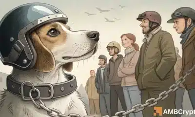 dogwifhat [WIF] Va el 24% de pérdida semanal: es $ 0.709 el último soporte antes ...