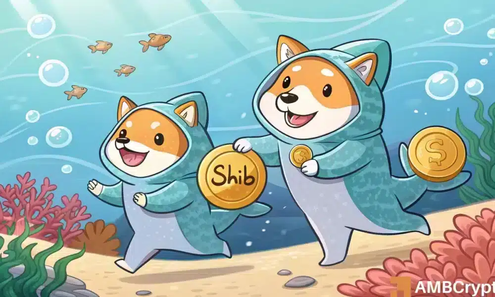 Shiba inu cae un 20%, pero las ballenas vuelven a entrar, ¿la recuperación de Shib es la próxima?