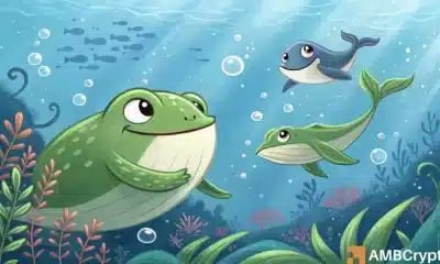 Pepe se sumerge al 30%, las tokens de ballenas 531B: ¿puede el minorista cambiar el rumbo?