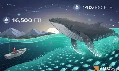 Las ballenas de Ethereum compran a precios más altos: ¿es una convicción o FOMO?