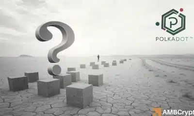 La descomposición del ecosistema de Polkadot y el colapso del DOT: ¿es este el final del camino?