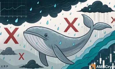Analizando la caída de 4 días de XRP: salida de ballenas; ¿Es hora de que el comercio minorista intervenga?