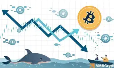 Bitcoin: lo que significa este "nuevo bajo histórico" para la acción de precio de BTC