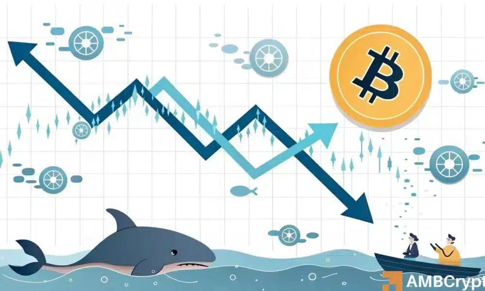 Bitcoin: lo que significa este "nuevo bajo histórico" para la acción de precio de BTC