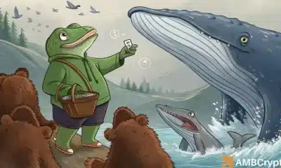 Pepe cae un 20%, pero las ballenas acaban de comprar tokens 531B, aquí están por qué