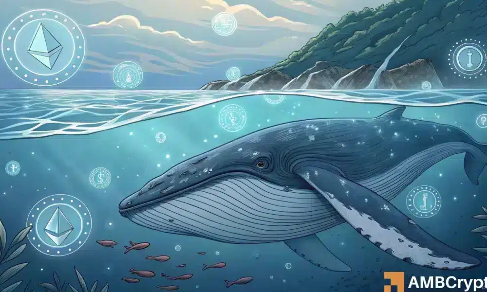 Ethereum ballena por $ 18 millones con pérdidas, ¡pero el comercio minorista está dumping! - ¿Quién tiene razón?