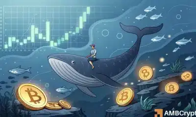 Bitcoin: ¿Ayudará un movimiento de ballenas de $ 26 millones a BTC superar los $ 107k?