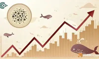 Cardano entre los mejores perdedores de la semana, pero esto sugiere una recuperación