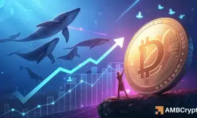 Dexe rebota en el piso de $ 8.50: ¿Puede los Bulls recuperar $ 11 y atrapar osos?