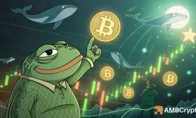 Pepe: 2 factores clave apuntan a una posible rally por delante
