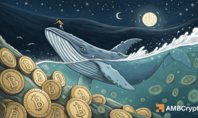 El tirón de la guerra de Bitcoin: Ballena apuesta $ 200 millones como Ports Stack a $ 1B - ¿Qué sigue?