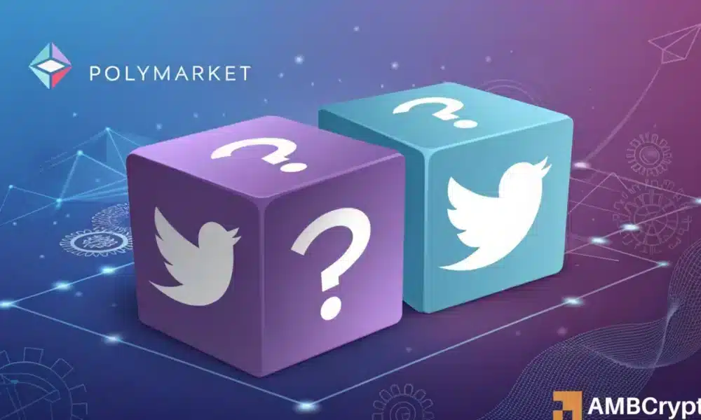 ¿La nueva asociación de PolyMarket con el X de Elon Musk, ¿UserBase ya revisa?