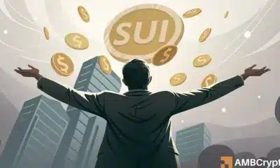 44 MLN Sui cae en el mercado - 2 rutas por delante para la acción de precio