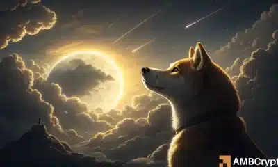 DogeCoin Down 30%, Espejos 2021 Estructura: Prepárese para un potencial ...