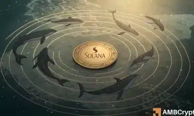 ¿Solana en un bucle? Por qué el sueño de $ 200 de Sol permanece atascado