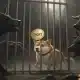 Dogecoin Consolidates: ¿Doge está estableciendo una trampa para osos por $ 0.20?