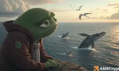 ¿Están saliendo silenciosamente las ballenas a corto plazo a medida que Pepe prueba su apoyo crítico?