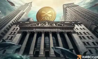 Ripple ve una sobretensión de actividad 7X: ¿puede conducir XRP a un máximo histórico?