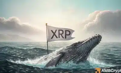XRP Pagos en la cadena Crash 45%-¿Señal del mercado bajista o oportunidad de compra?