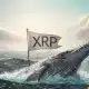 XRP Pagos en la cadena Crash 45%-¿Señal del mercado bajista o oportunidad de compra?