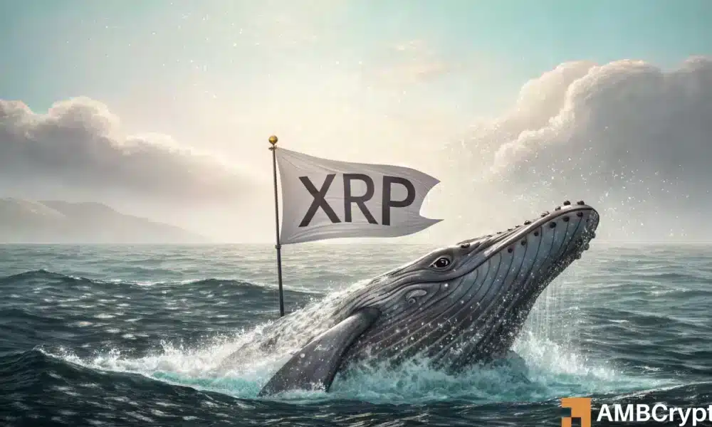 XRP Pagos en la cadena Crash 45%-¿Señal del mercado bajista o oportunidad de compra?