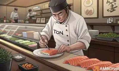 Una billetera, 863m toneladas apiladas: decodificación de una estrategia de toncoin de ballena