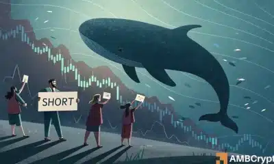 Los comerciantes de Bitcoin están cortando BTC en su apogeo, ¡aquí está por qué eso es arriesgado!