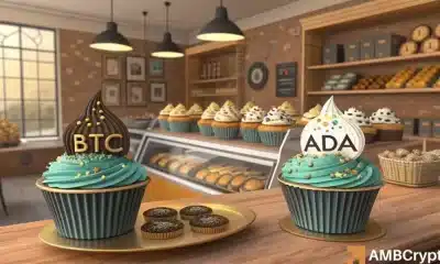 'Cardano puede estar a punto de superar a Bitcoin', el caso de la carrera de toro de Ada